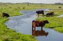 Texel-02838